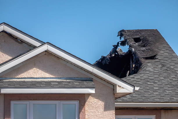 Top rated local Board Up Services specialists in Loretto, MN